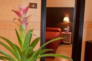 Camera - Grand Eurhotel